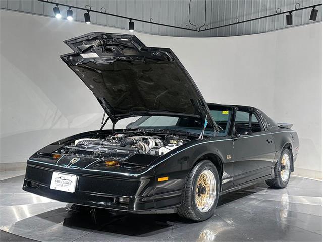 1989 Pontiac Firebird (CC-2101975) for sale in Depew, New York