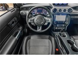 2019 Ford Mustang (CC-2101978) for sale in Plymouth, Michigan
