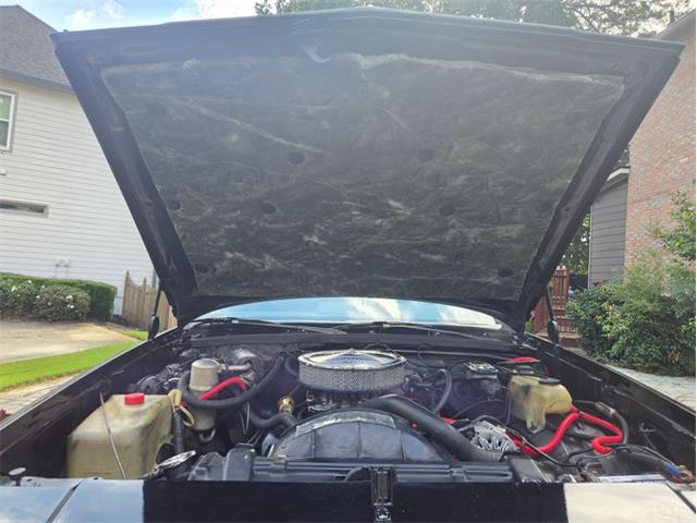 1979 Oldsmobile Cutlass (CC-2101980) for sale in Palmetto, Florida
