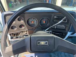 1979 Chevrolet C10 (CC-2101983) for sale in Brookings, South Dakota