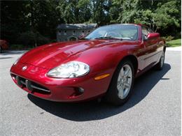 1997 Jaguar XK8 (CC-2101987) for sale in Palmetto, Florida