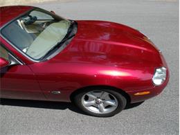 1997 Jaguar XK8 (CC-2101987) for sale in Palmetto, Florida