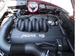 1997 Jaguar XK8 (CC-2101987) for sale in Palmetto, Florida