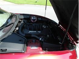 1997 Jaguar XK8 (CC-2101987) for sale in Palmetto, Florida