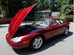 1997 Jaguar XK8 (CC-2101987) for sale in Palmetto, Florida