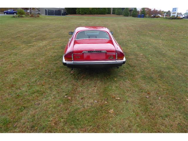 1989 Jaguar XJS (CC-2101995) for sale in Saratoga Springs, New York