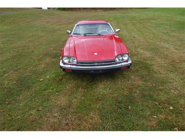 1989 Jaguar XJS (CC-2101995) for sale in Saratoga Springs, New York