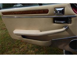 1989 Jaguar XJS (CC-2101995) for sale in Saratoga Springs, New York