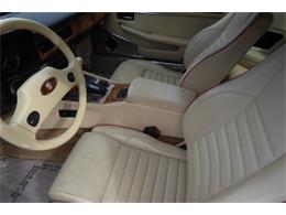 1989 Jaguar XJS (CC-2101995) for sale in Saratoga Springs, New York