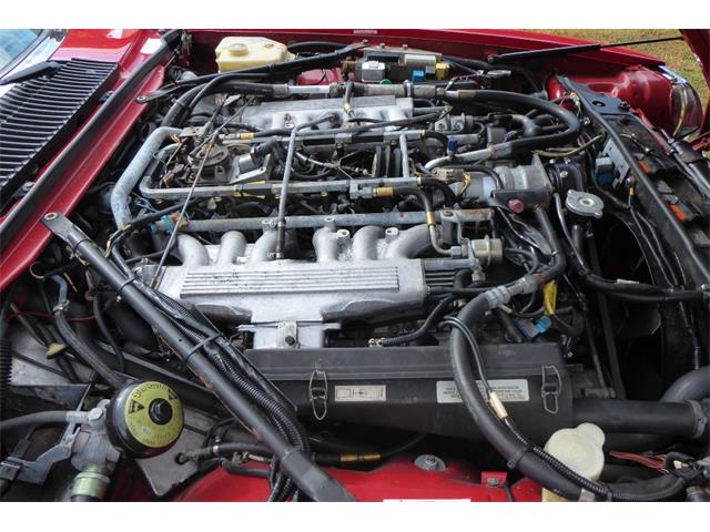 1989 Jaguar XJS (CC-2101995) for sale in Saratoga Springs, New York