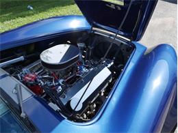 1967 Shelby Cobra (CC-2102024) for sale in Palmetto, Florida