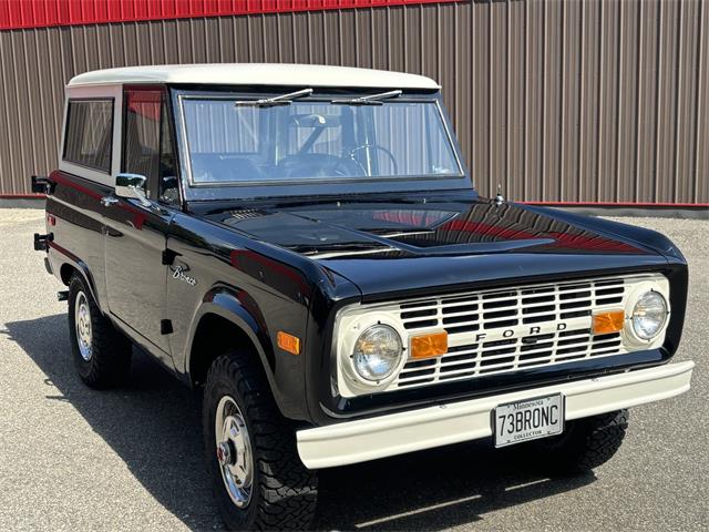 1973 Ford Bronco (CC-2102043) for sale in Annandale, Minnesota