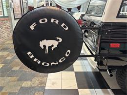 1973 Ford Bronco (CC-2102043) for sale in Annandale, Minnesota