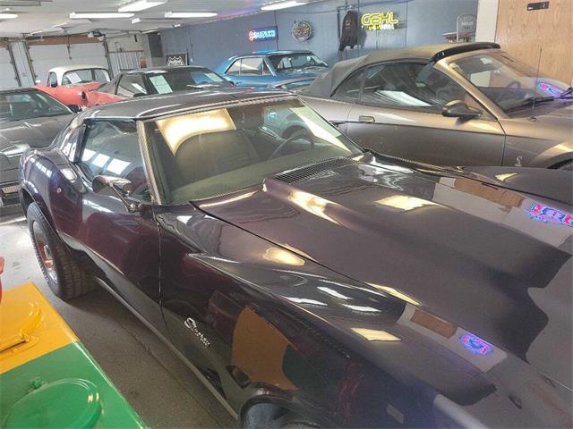 1975 Chevrolet Corvette (CC-2102106) for sale in Spirit Lake, Iowa