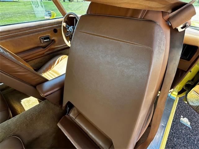 1979 Pontiac Firebird Trans Am (CC-2102123) for sale in Sioux City, Iowa