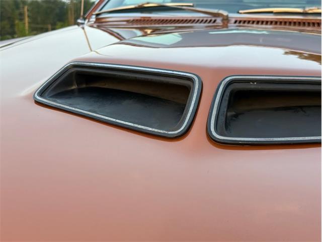 1970 AMC Javelin (CC-2100218) for sale in Orwigsburg, Pennsylvania