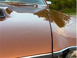 1970 AMC Javelin (CC-2100218) for sale in Orwigsburg, Pennsylvania
