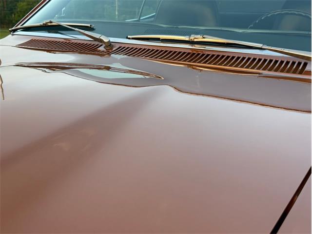 1970 AMC Javelin (CC-2100218) for sale in Orwigsburg, Pennsylvania