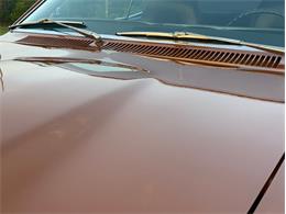 1970 AMC Javelin (CC-2100218) for sale in Orwigsburg, Pennsylvania