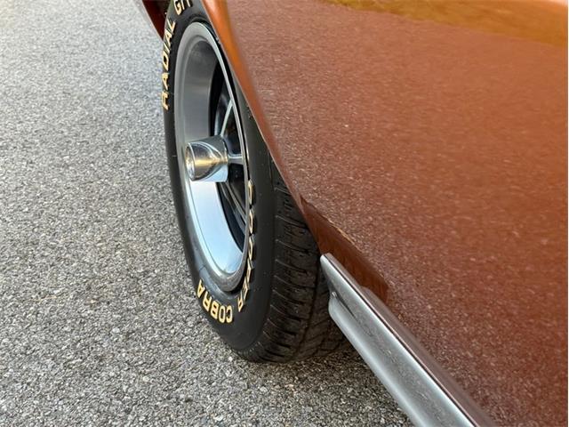 1970 AMC Javelin (CC-2100218) for sale in Orwigsburg, Pennsylvania
