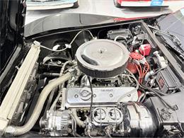 1981 Chevrolet Corvette (CC-2102201) for sale in Watford, Ontario