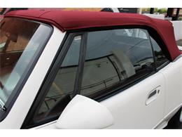 1991 Avanti Avanti (CC-2102206) for sale in Tucson, Arizona