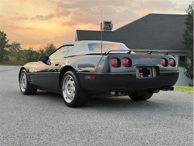 1991 Chevrolet Corvette (CC-2100222) for sale in Orwigsburg, Pennsylvania