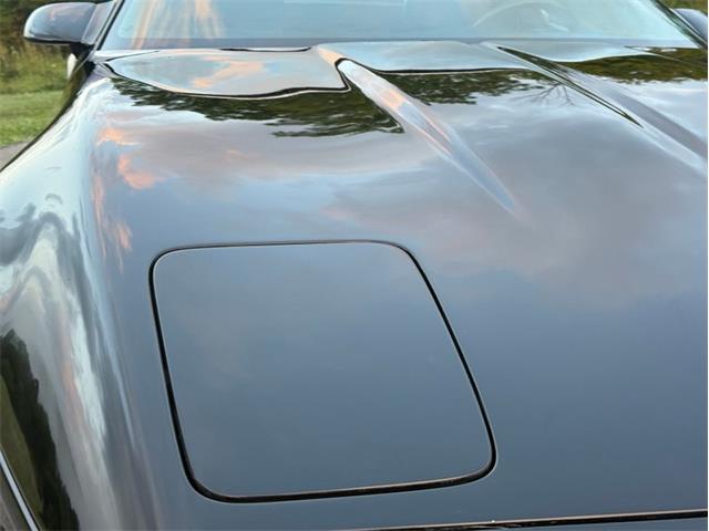 1991 Chevrolet Corvette (CC-2100222) for sale in Orwigsburg, Pennsylvania