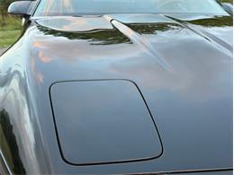 1991 Chevrolet Corvette (CC-2100222) for sale in Orwigsburg, Pennsylvania