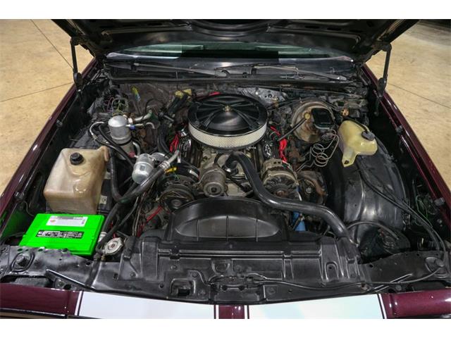 1981 Chevrolet El Camino (CC-2102244) for sale in Kentwood, Michigan