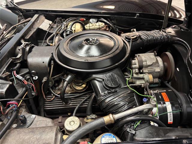 1978 Chevrolet Corvette (CC-2102265) for sale in Bradenton, Florida