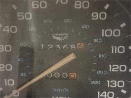 1978 Chevrolet Corvette (CC-2102265) for sale in Bradenton, Florida