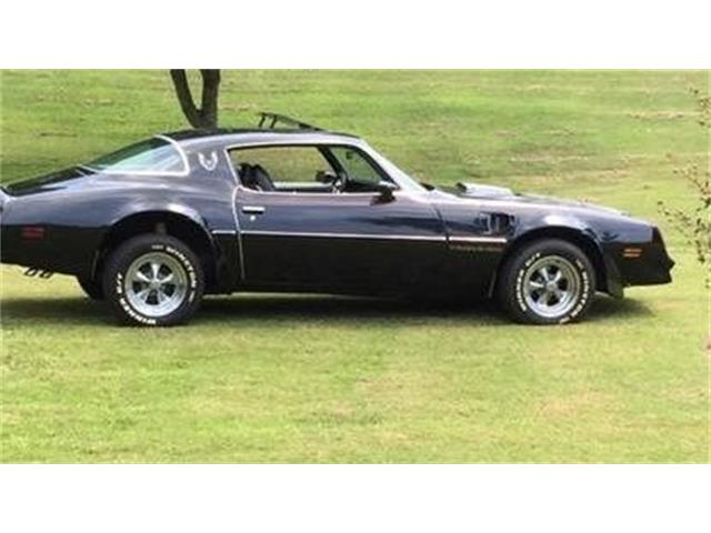 1977 Pontiac Firebird Trans Am (CC-2102312) for sale in Cadillac, Michigan