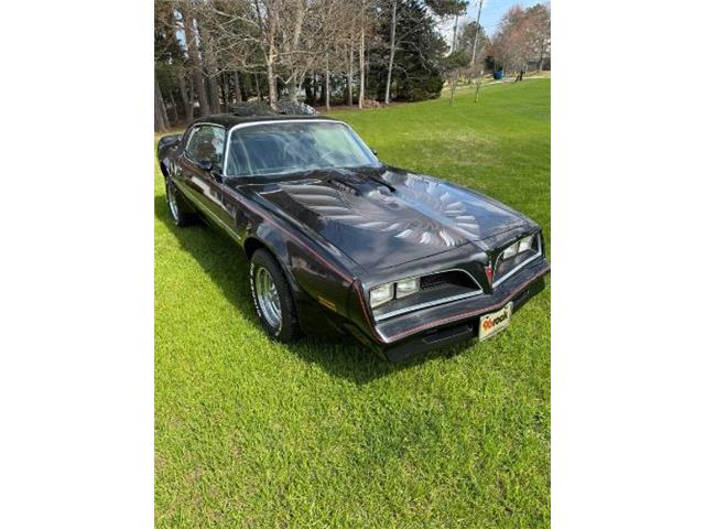 1977 Pontiac Firebird Trans Am (CC-2102312) for sale in Cadillac, Michigan