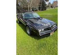 1977 Pontiac Firebird Trans Am (CC-2102312) for sale in Cadillac, Michigan