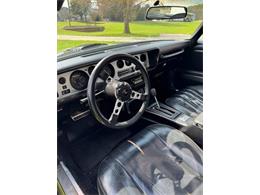 1977 Pontiac Firebird Trans Am (CC-2102312) for sale in Cadillac, Michigan