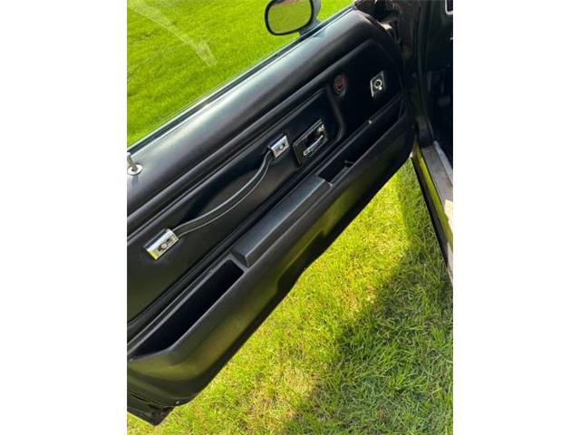 1977 Pontiac Firebird Trans Am (CC-2102312) for sale in Cadillac, Michigan