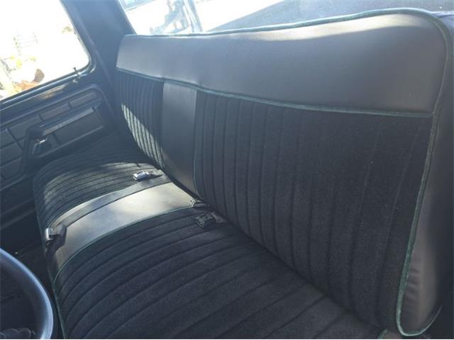 1976 Ford F100 (CC-2102319) for sale in Cadillac, Michigan