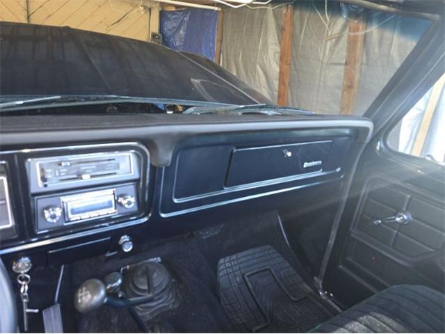 1976 Ford F100 (CC-2102319) for sale in Cadillac, Michigan