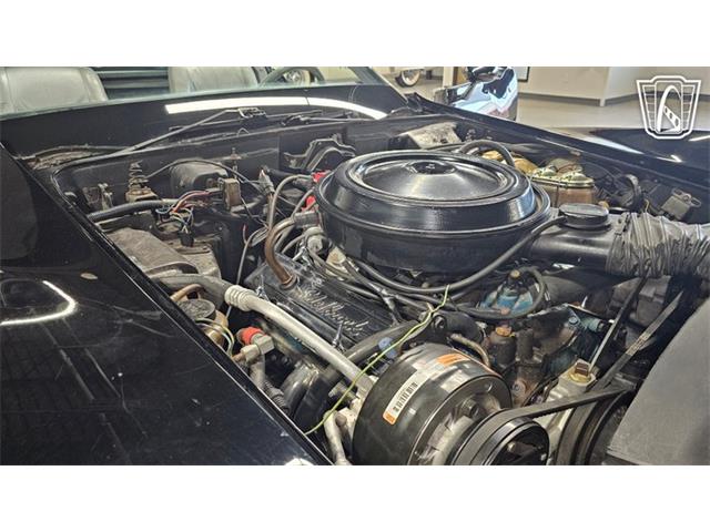 1978 Chevrolet Corvette (CC-2102340) for sale in Dearborn, Michigan