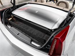 2005 Cadillac XLR (CC-2102369) for sale in Sherwood Park, Alberta