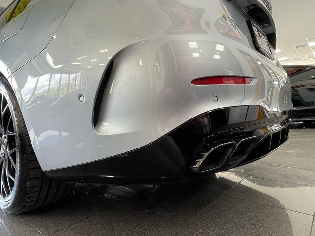 2025 Mercedes-Benz AMG (CC-2102392) for sale in Jacksonville, Florida