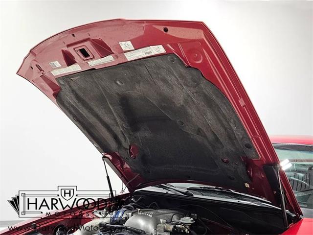 1998 Ford Cobra (CC-2102396) for sale in Cleveland, Ohio
