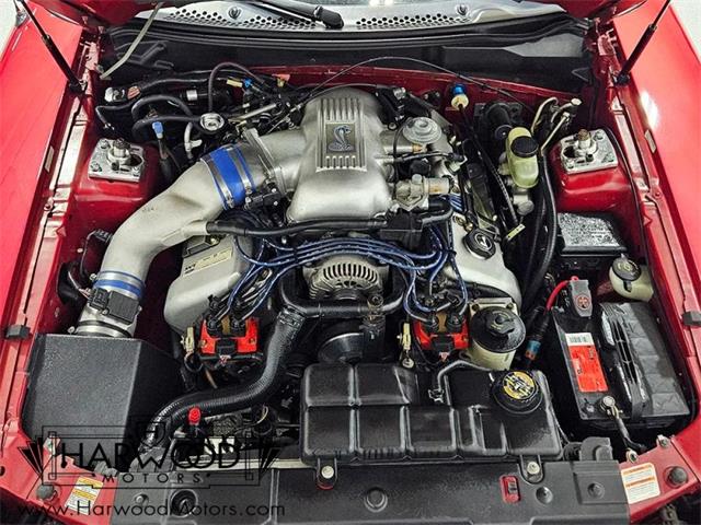 1998 Ford Cobra (CC-2102396) for sale in Cleveland, Ohio