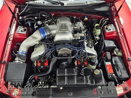 1998 Ford Cobra (CC-2102396) for sale in Cleveland, Ohio