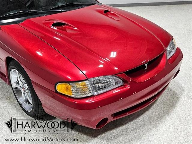 1998 Ford Cobra (CC-2102396) for sale in Cleveland, Ohio