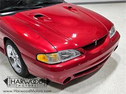 1998 Ford Cobra (CC-2102396) for sale in Cleveland, Ohio