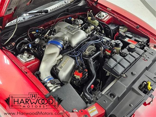 1998 Ford Cobra (CC-2102396) for sale in Cleveland, Ohio