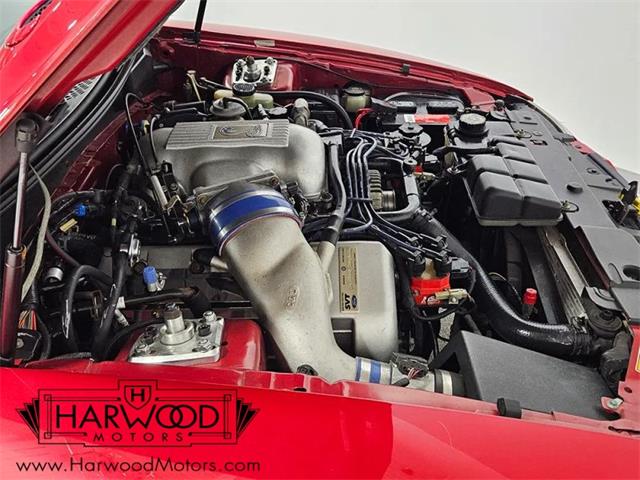 1998 Ford Cobra (CC-2102396) for sale in Cleveland, Ohio