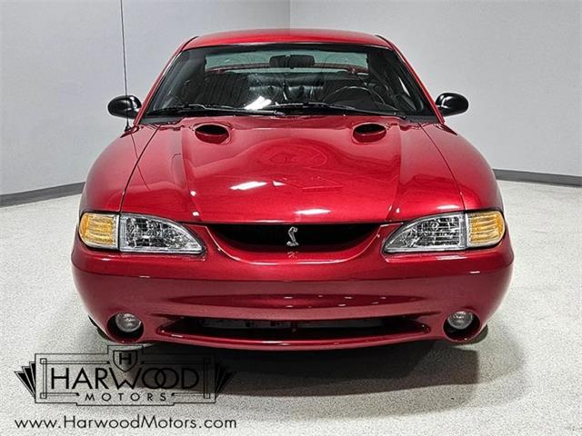 1998 Ford Cobra (CC-2102396) for sale in Cleveland, Ohio